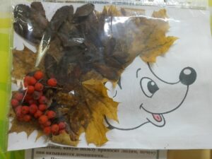 rrJjaJGbr5mpnZDSy_MrxEy0uwwAcA2OV1Rv923ySK60Bzsh1j8MuFB2CXHF9K9_JXmcelXFFqfntPJ41P15zPCO